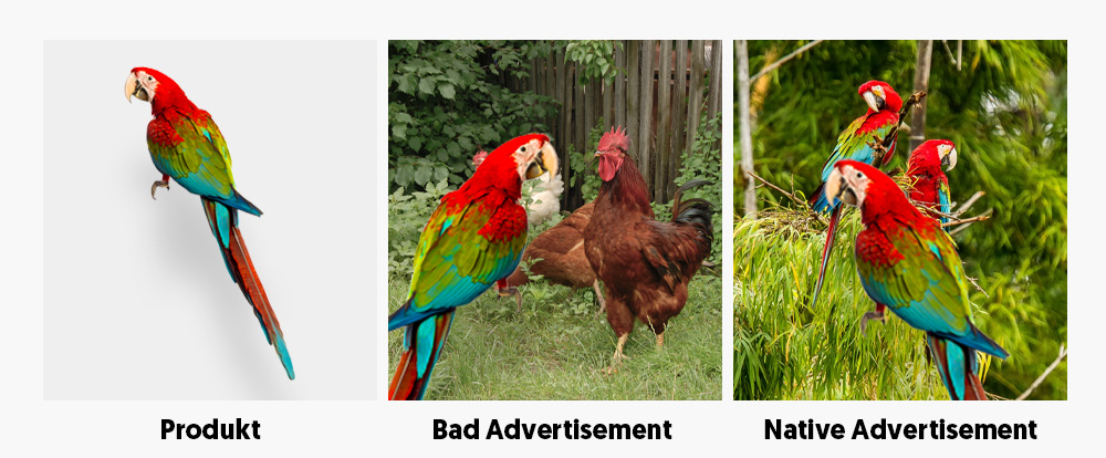 Native Advertising Erklärung-
