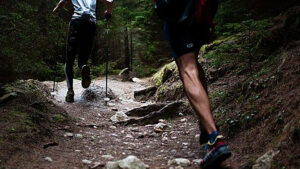 performance marketing- trail running als indicator für Performance